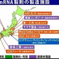 集スト医療ガスライディング【集スト=国家破壊作戦】　2025/03/31