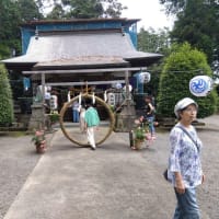 磯山神社のアジサイ（鹿沼）