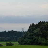石破総理の応援を拒否した自民候補が話題に…党内崩壊の予兆と総理不要論の現実！( ｀ー´)ノ