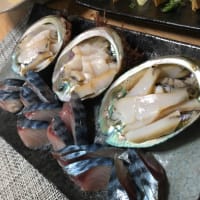 懸垂としめ鯖。