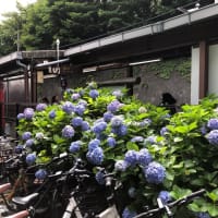 長谷寺の　お香を買いに　行ってきた🚶‍♀️