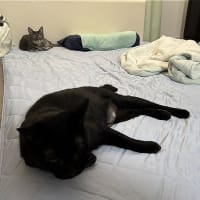 ぼくもアタチもｗ