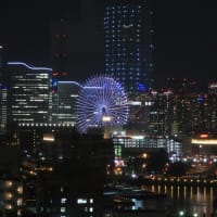 ホテルニューグランド　14　（神奈川県横浜市中区）