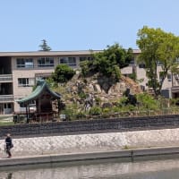 藤戸合戦　下見　2025.5.5　「23」