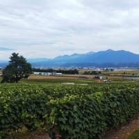 行き当たりばったりの北海道⑤　塩狩~富良野~清里