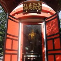 たまに行く赤塚山乗蓮寺の「東京大仏」！凛々しいお顔がたまりません！