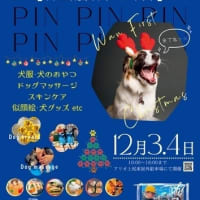 12/03(土) ~ 12/04(日) #PINPIN Marche～ワンコのための フリマ  アリオ上尾 東屋外駐車場 開催します