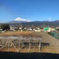  JR西日本を中心とするローカル線乗車を主とする旅（あと福岡）（2021年12月～2022年1月）（Day7-2）（29）（完）