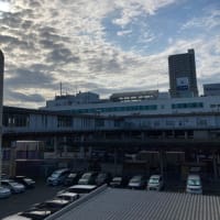 久しぶりのライブ
