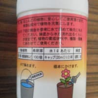 【キャンドゥ】植物活性剤