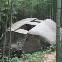 山背大兄王暗殺の謎と中臣鎌足