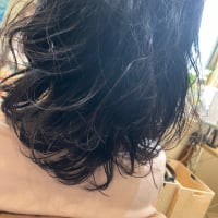 dollからの提案😊