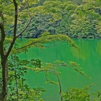6月の山上湖 「伊奈ケ湖 」風情