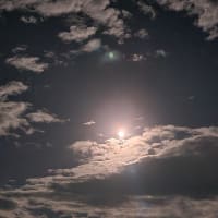 2021/11/22