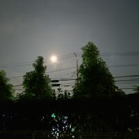 あーあ