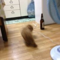 ビール瓶と対決だ！？