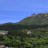 初夏の愛知・静岡の旅（７）箱根芦ノ湖