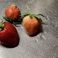 畑に