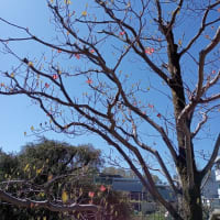 ヨガ教室へ
