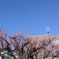 引越し第一日目