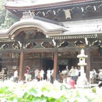 青龍で行く宇治・風鈴まつり