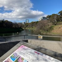 おでかけ色々…