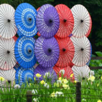 花菖蒲の季節