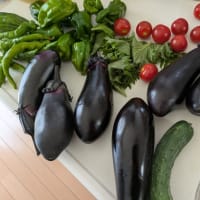 夏野菜たくさん収穫
