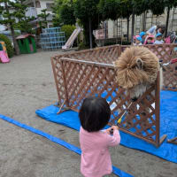 アルパカが来た❗