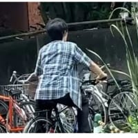 皇室ウイークリー