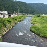 足羽川友釣り解禁のお知らせ