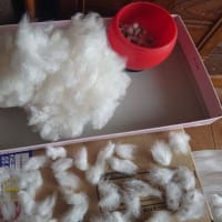 綿の種