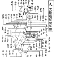 ツボの話