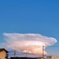 今日いち-2024年8月14日