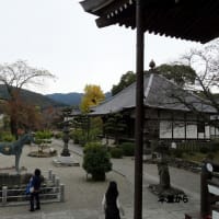 06/22奈良京都への旅-10（明日香村⑤：橘寺訪問、）