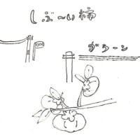 山の生活　渋柿が甘くなる