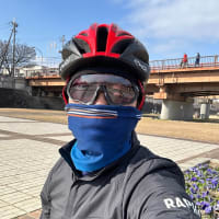 蘭丸 メンズ プロチーム インサレーティッド ジャケット メンズSサイズ 蘭丸 メンズ プロチーム インサレーティッド ジャケット メンズS