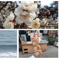 2月15日（土）　S波　ヒザ　＋小旅行