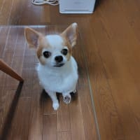 おニューのパソコンはいいね！