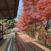 紙すき体験