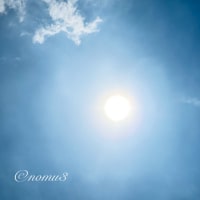 今日も