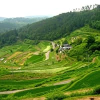岡山県・久米南町の「上籾」