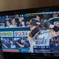 ⚾野球テレビ観戦