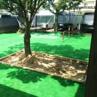 もう3月だ！