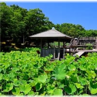 伯耆古代の丘公園「鳥取県米子市淀江町福岡」