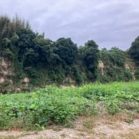 2024年10月5日　17釣り目　那珂川＆荒川
