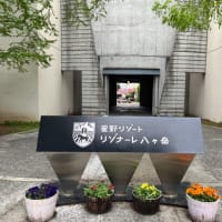 小さな絵本美術館　35周年　新沢としひこさんコンサートに行ってきました♪