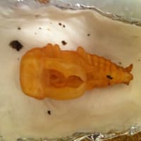 じんこうようしつ