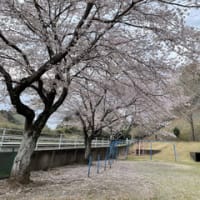 4月、新年度が始まりました。