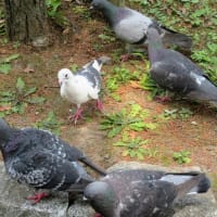 撮っていいよ♪